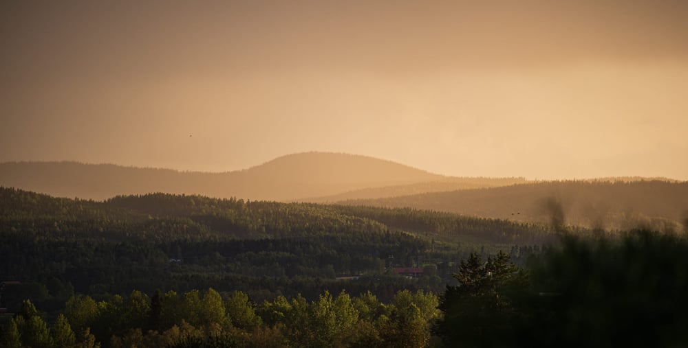 Skogsklädda kullar i kvällsljus.