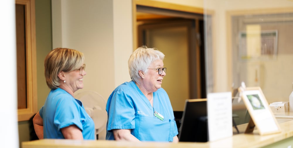 Medarbetare kollegor