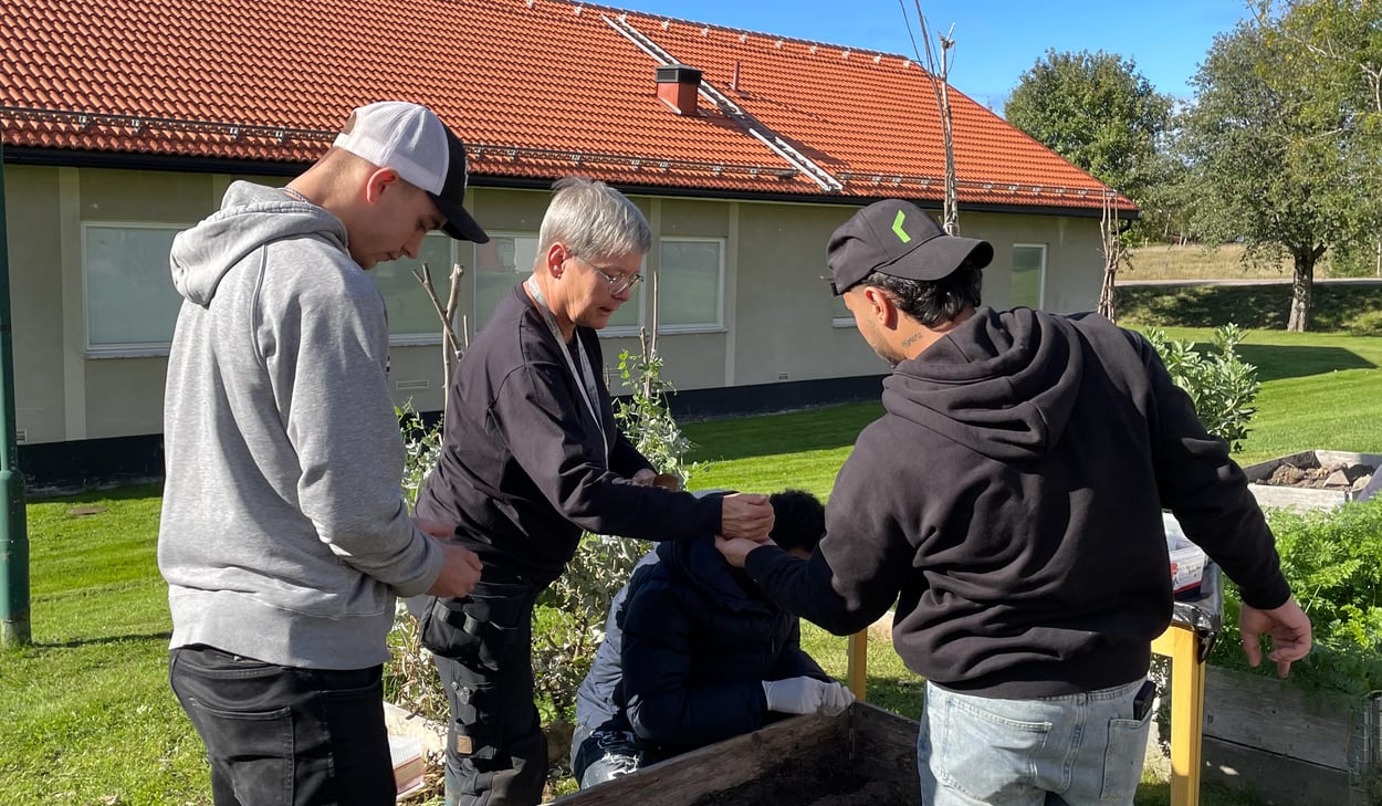 Deltagare i projektet FolkisUng arbetar tillsammans med plantering i en odlingslåda vid Västerbergs folkhögskola.