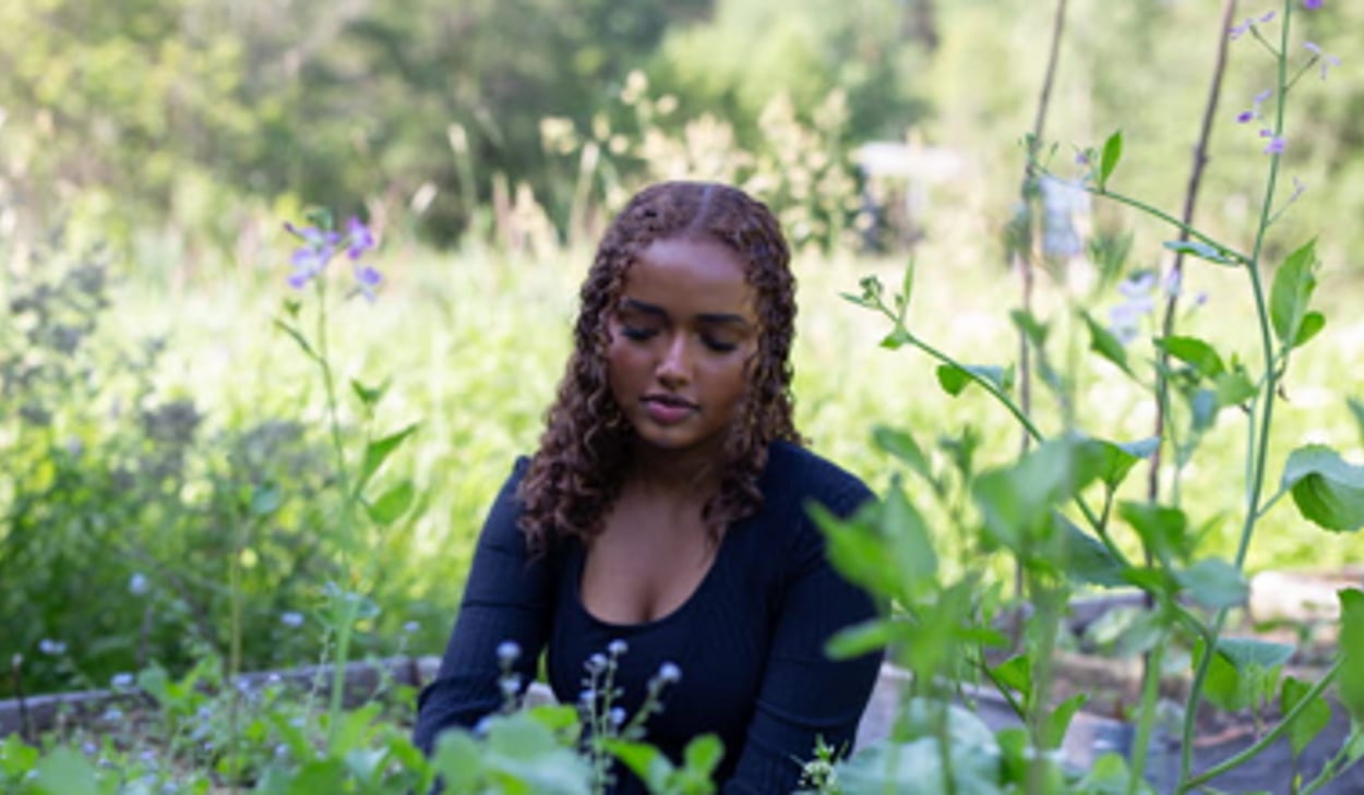 Person sitter vid en odlingslåda och arbetar bland gröna växter och blommor i en lummig trädgårdsmiljö.